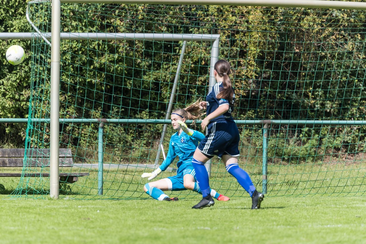 Bild 247 - B-Juniorinnen VfL Pinneberg - HSV : Ergebnis: 1:4